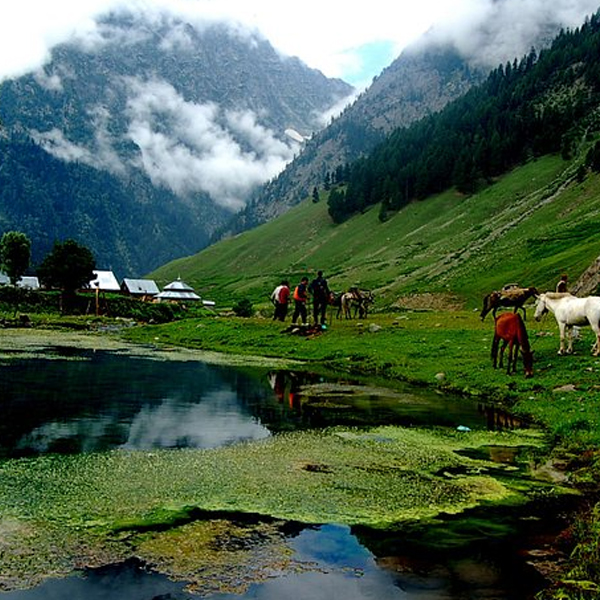 STUNNING KASHMIR.jpg